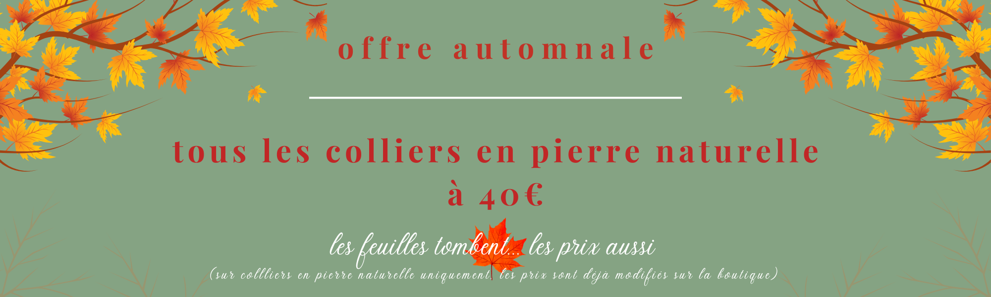 offre automnale d'octobre 2024 : tous les colliers en pierre naturelle passent à 40€.